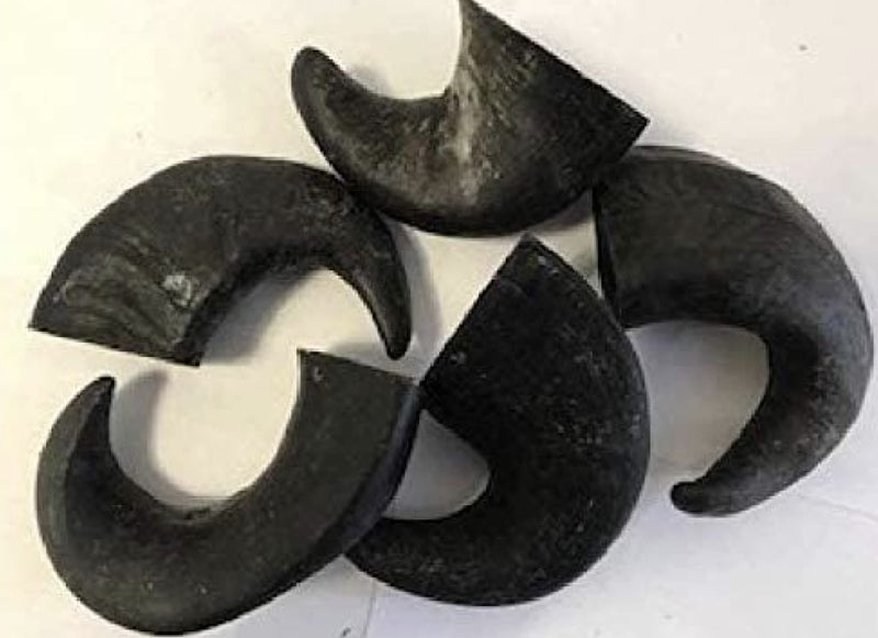 Maltbys' Stores 1904 Limited Medium Buffalo Horns x 5 Natural Dog Treats Chews - PawsPlanet Australia