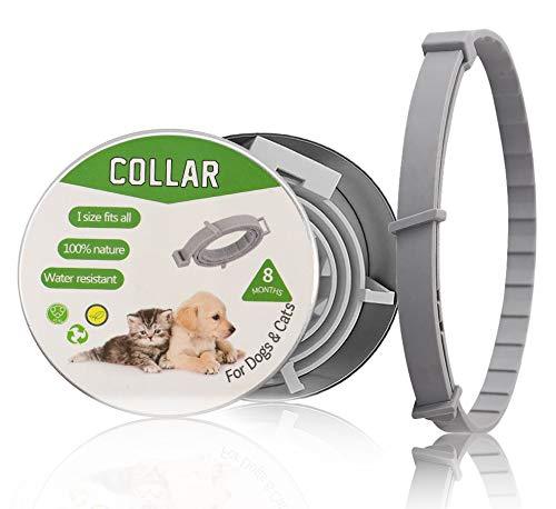 2020 New Pet Insect Repellent Collar, Retractable Anti-flea Mosquito Repellent Collar for Cats and Small Dogs Lice Insect Repellent Collar, 8 Months Protection Vitro Insect Repellent Dog Leash(Grey) - PawsPlanet Australia