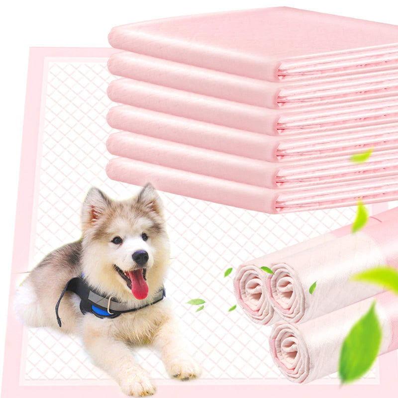 ACE2ACE Thickened Pet Training Pads, Ultra Absorbent Dog Puppy Training Pads, Anti Leakproof Dog Toilet Pee Mats, Quick-dry mesh surface with Large Size (60 * 60cm, Pack of 10) 10 PACK - PawsPlanet Australia
