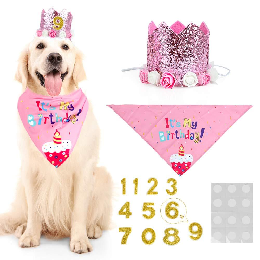 WOVTE Pink Flower Crown Dog Birthday Hat bandana Cute Cat and Dog Headdress Hat Cat and Dog Celebration Birthday Decoration, Pet Birthday Party Supplies - PawsPlanet Australia