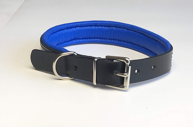 KLASSY K9 SEDGWICK BRIDLE LEATHER PADDED DOG COLLAR IN BLACK WITH BLUE LEATHER PADDING LARGE 19”-23” 48CM-58CM WITH CHROME ACCESSORIES - PawsPlanet Australia