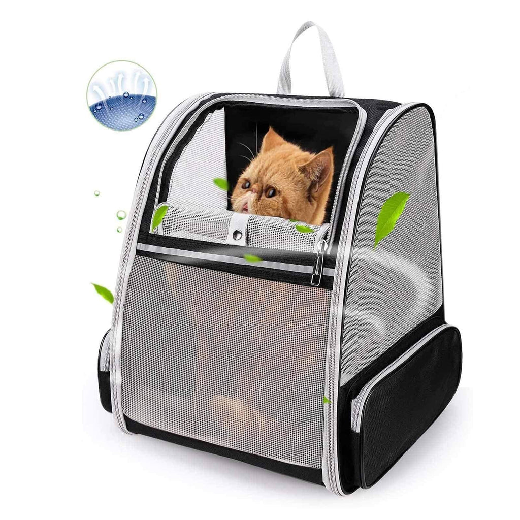 BOW CALICO Pet Carrier Backpack for Dogs Cats, Large Mesh Transport Bag Foldable Transparent Good Ventilation, for Travel Camping Hiking and Daily Use Airline Approved - PawsPlanet Australia