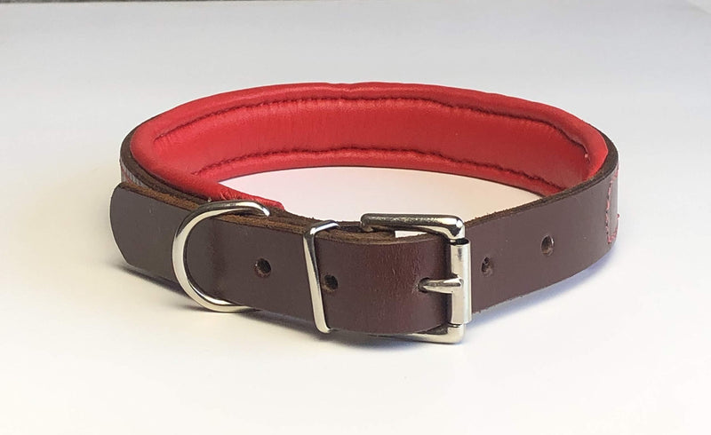 ITALIAN BRIDLE LEATHER PADDED DOG COLLAR IN AUSTRALIAN NUT (MAHOGANY BROWN) WITH RED LEATHER PADDING LARGE 19"-23" 48CM-58CM WITH CHROME ACCESSORIES - PawsPlanet Australia