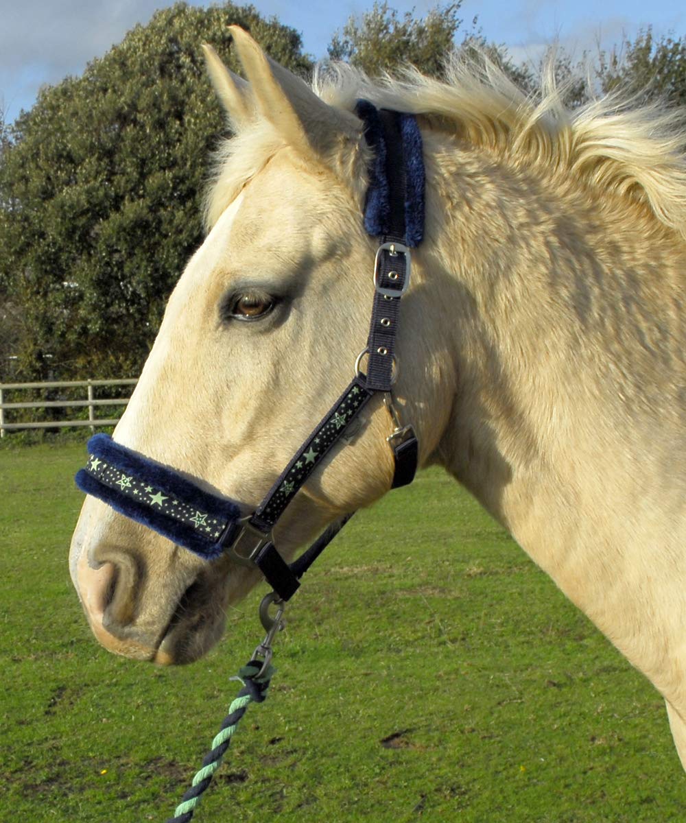 Rhinegold Crystal Star Headcollar & Rope Set Cob Navy/Green - PawsPlanet Australia