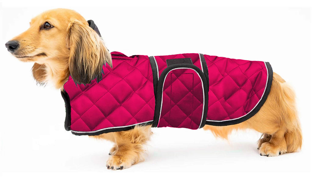 Geyecete Warm Thermal Quilted Dachshund Coat, Dog Winter Coat with Warm Fleece Lining, Outdoor Dog Apparel with Adjustable Bands for Medium, Large Dog-Pink-M M Pink - PawsPlanet Australia