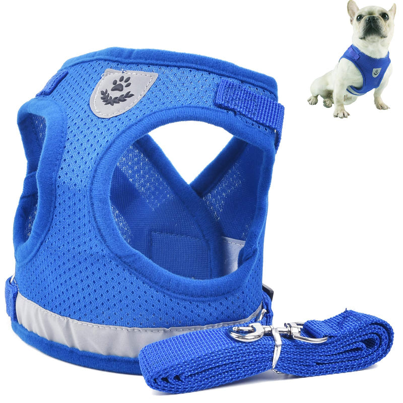BUYGOO Adjustable Dog Harness and Lead for Small Dogs, Soft Puppy Harness with Mesh Vest and 1.2m Dog Lead with Clips(Size S, Blue) - PawsPlanet Australia