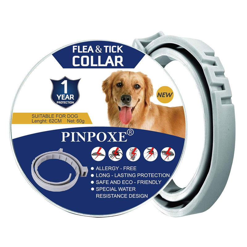 PINPOXE Flea Collar Dogs, Flea Treatment for Dogs, Flea and Tick Collar for Dogs,Natural Dog Flea Collar, Safe & Allergy Free, Adjustable and Waterproof Dog Flea and Mites Collar 1 Count (Pack of 1) - PawsPlanet Australia