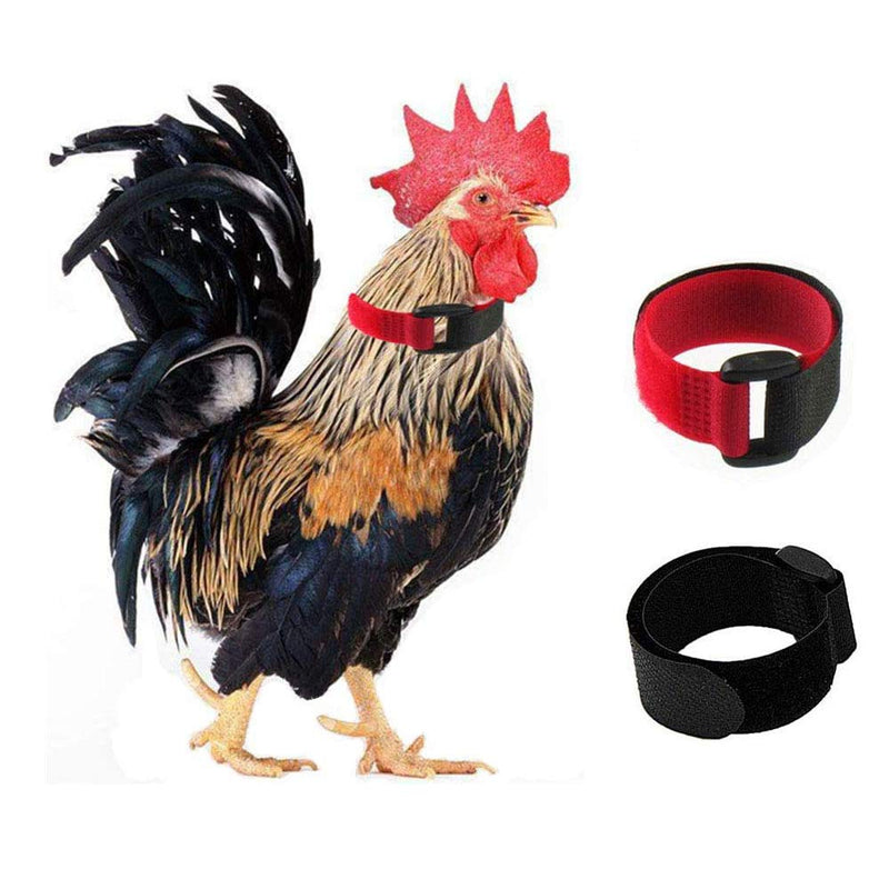 KOSTOO 2 Pack No Crow Rooster Collar, Chicken Collar Anti-Hook Noise Free Neckband Neck Belt for Roosters - Prevent Chickens from Screaming, Disturbing Neighbors (2 Pack Upgrade) 2 Pack Upgrade - PawsPlanet Australia