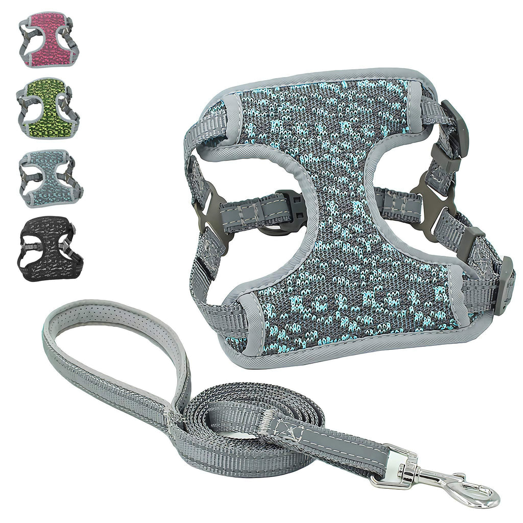 risdoada Soft Air Mesh Dog Harness with leash, Reflective Breathable Puppy Chest Padded Harnesses, Adjustable Step-in Pet Vest Easy Control Front Clip for Small Medium Large Dogs, Blue M - PawsPlanet Australia