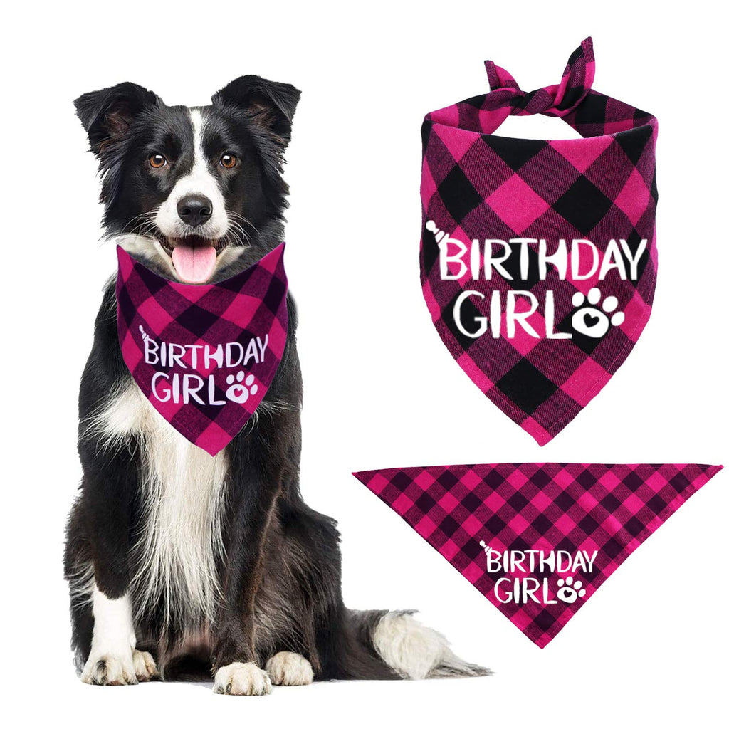 STMK Dog Birthday Bandana, Dog Birthday Girl Bandana Triangle Scarf for Dog Puppy Birthday Small (Pack of 1) - PawsPlanet Australia