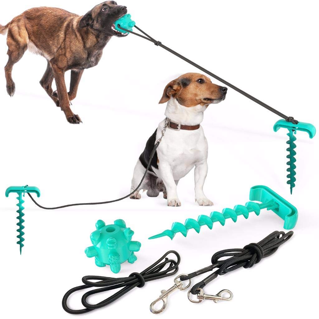 Dog Stake Ground Spike for Dogs Dog Spikes for Ground Spiral Ground Anchor with Dog Tie Out Outdoor Dog Pegs Tie Folding Ring Stake Screw Yard Tie Out Spike for Dogs Blue - PawsPlanet Australia