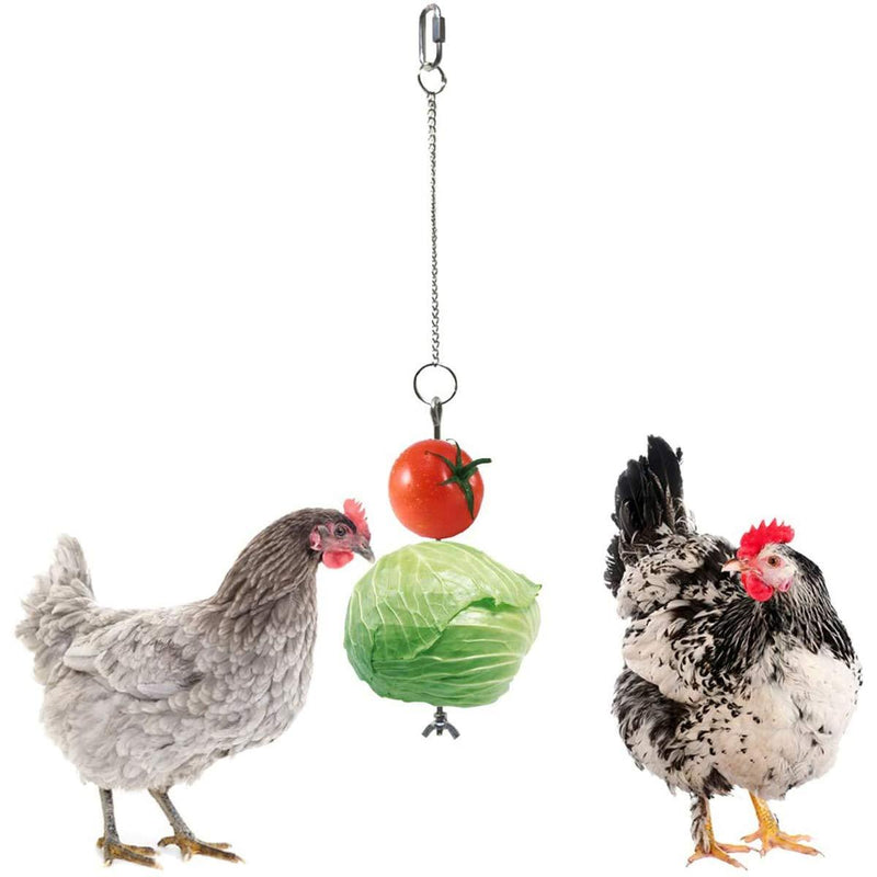 1 Set Hanging Feeder Toy for Hens, Chicken Veggies Skewer Fruit Holder, Silver Hanging Chains Feeder for Hens Chicken Large Birds - PawsPlanet Australia