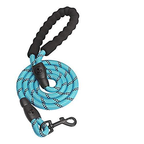 ACE 5FT Rope Dog Lead, Soft Padded Handle, Reflective Threads, Durable Rope Twist Lead in Strong Braided Nylon, Dogs Blue - PawsPlanet Australia