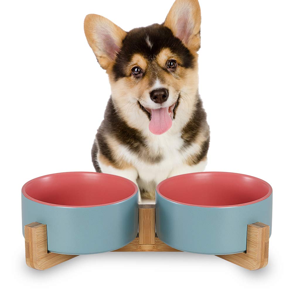 HCHLQLZ Blue Pink Ceramic Cat Bowl with Wood Stand No Spill Pet Food Water Feeder Cats Small Dogs Set of 2 Blue Pink×2 - PawsPlanet Australia