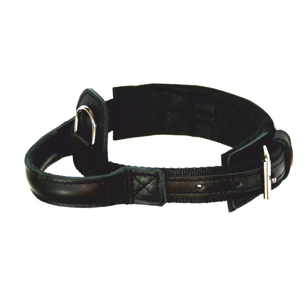 DINGO GEAR 1977 Hero Polypropylene Band Dog Collar Handmade Strong Handle Adjustable S04013, Black, 300 g - PawsPlanet Australia