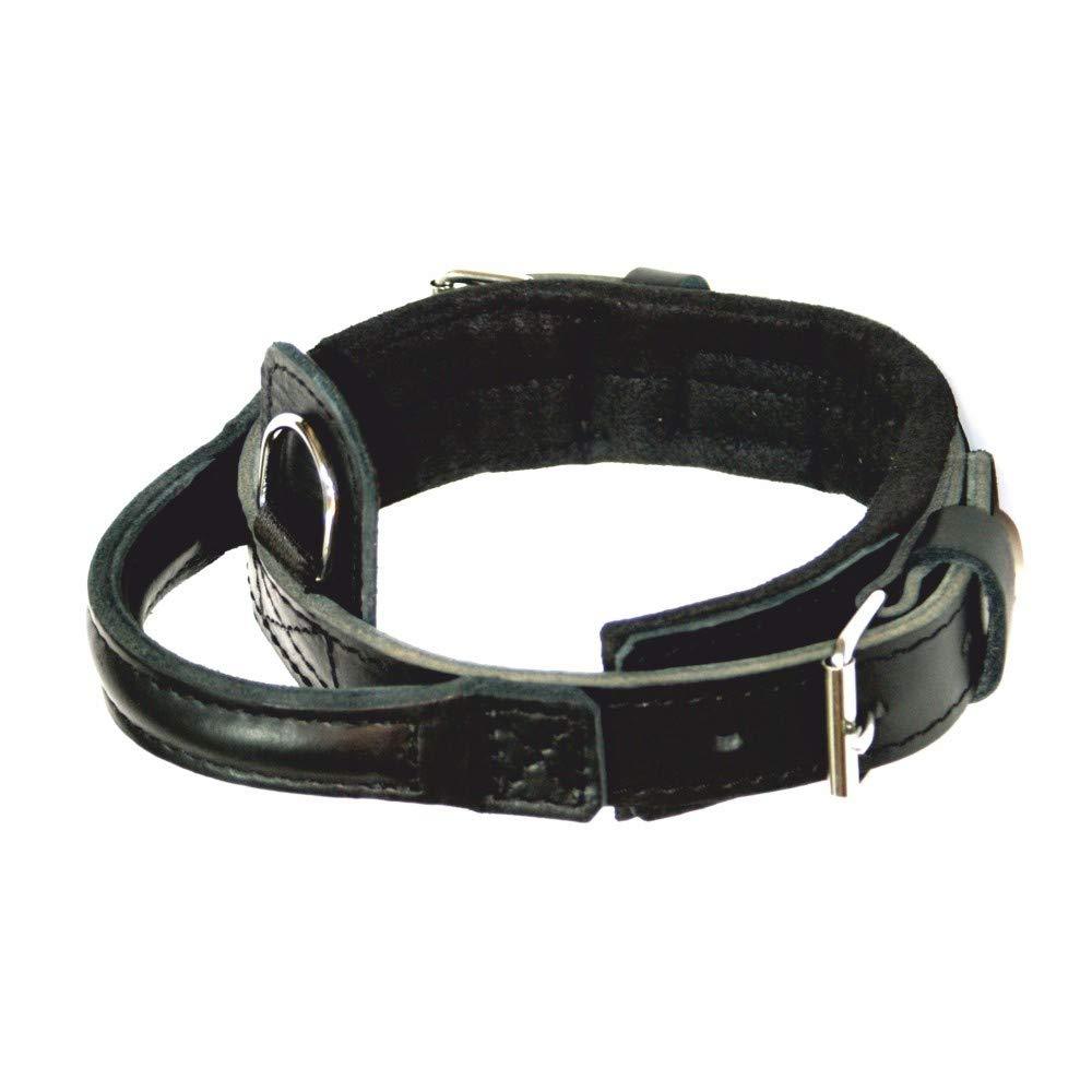 DINGO GEAR 1977 Hero Genuine Leather Dog Collar Handmade Strong Handle Adjustable S04011, Black, 300 g - PawsPlanet Australia