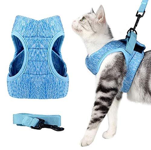 GWL Cat Harness and Leash Set, Escape Proof Cat Kitten Vest Harness with Lead, Ultra-Light Kitten Collar Cat Walking Jacket, Soft and Adjustable for Puppies Rabbits with Cationic Fabric (Blue, M) Blue - PawsPlanet Australia
