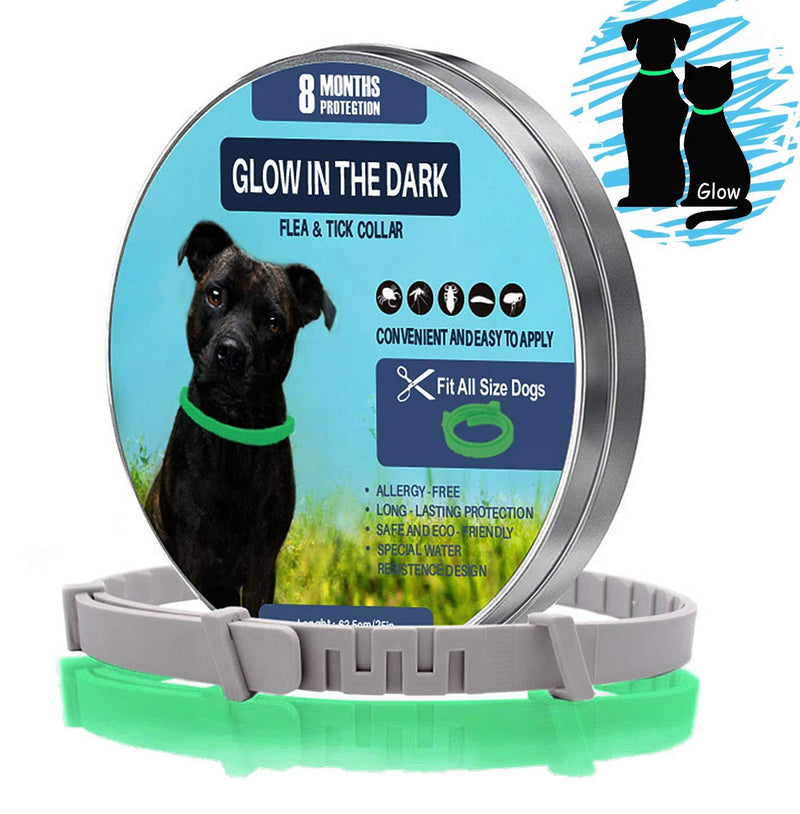 ZSIIBO Flea Collar Dogs Flea Treatment for Dogs Collar Lights for the Dark Waterproof Adjustable Size 8 Months Protection Natural Essential Oils Cat Flea Collars 62cm（24.4in） - PawsPlanet Australia