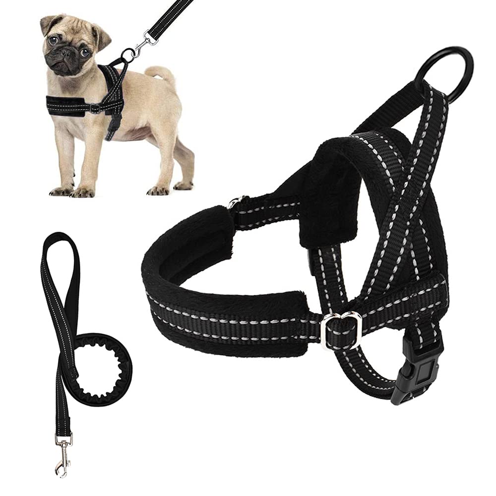 Eyein No Pull Small Dog Harness & Lead, Heavy Duty Easy for Walk Vest Harness Soft Padded Reflective Adjustable Puppy Harness Anti-Twist Pet Lead Quick Fit for Small Dog Cat Animal (S, Black) S - PawsPlanet Australia