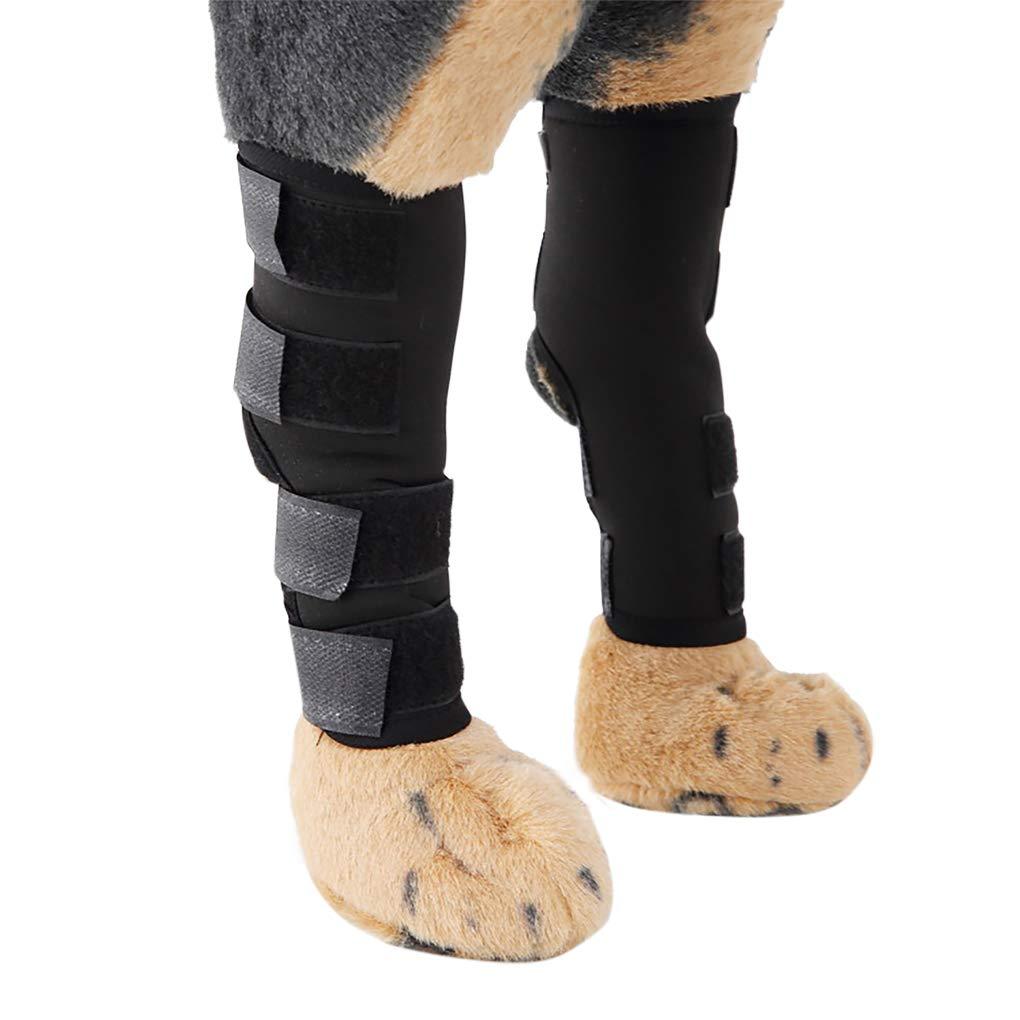 Comfortable Neoprene Dog Legs Brace Canine Front Hind Legs Support Compression Wraps Hock Joint Brace with Straps for Protecting Dog Legs Wounds Injuries Sprains from Arthritis Medium - PawsPlanet Australia