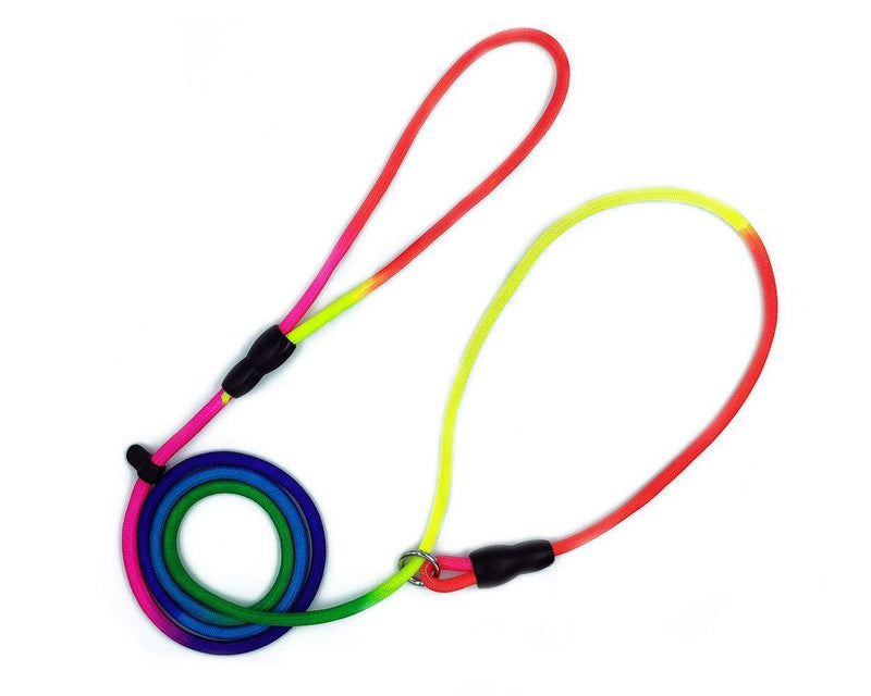 SCSpecial Dog Training Leash 4 Feet Rope Dog Leash Dog Slip Lead Dog Training Lead - Rainbow Color - PawsPlanet Australia