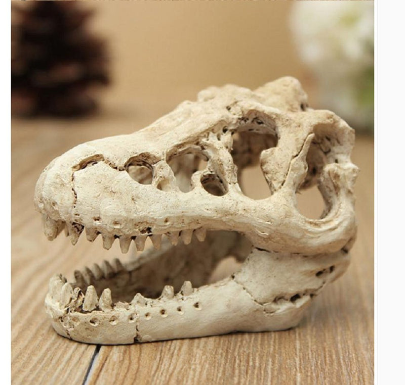 XIGUI Aquarium Decor Resin Emulational Skull - dinosaur skull skeleton ornament-fish tank small skull aquarium decoration cave landscape pet reptile house - PawsPlanet Australia