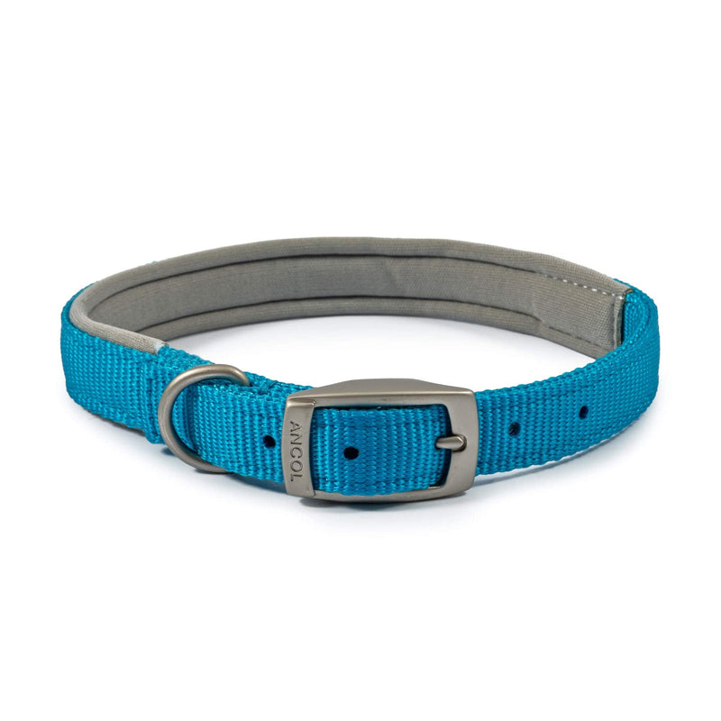Ancol Padded Viva Collar with Buckle Blue 35 - 43 cm Size 4 S/M - PawsPlanet Australia