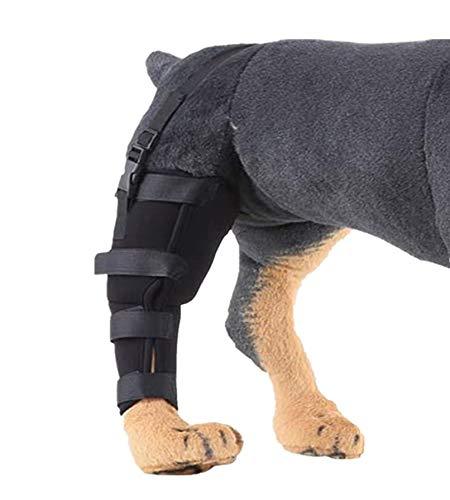 WXFEXIA Dog Rear Right Hind Leg Joint Brace - Canine Wrap Protects Wounds Heal Support Due to Arthritis to Prevent Injury and Sprains or Walking(1 Pcs, M) - PawsPlanet Australia