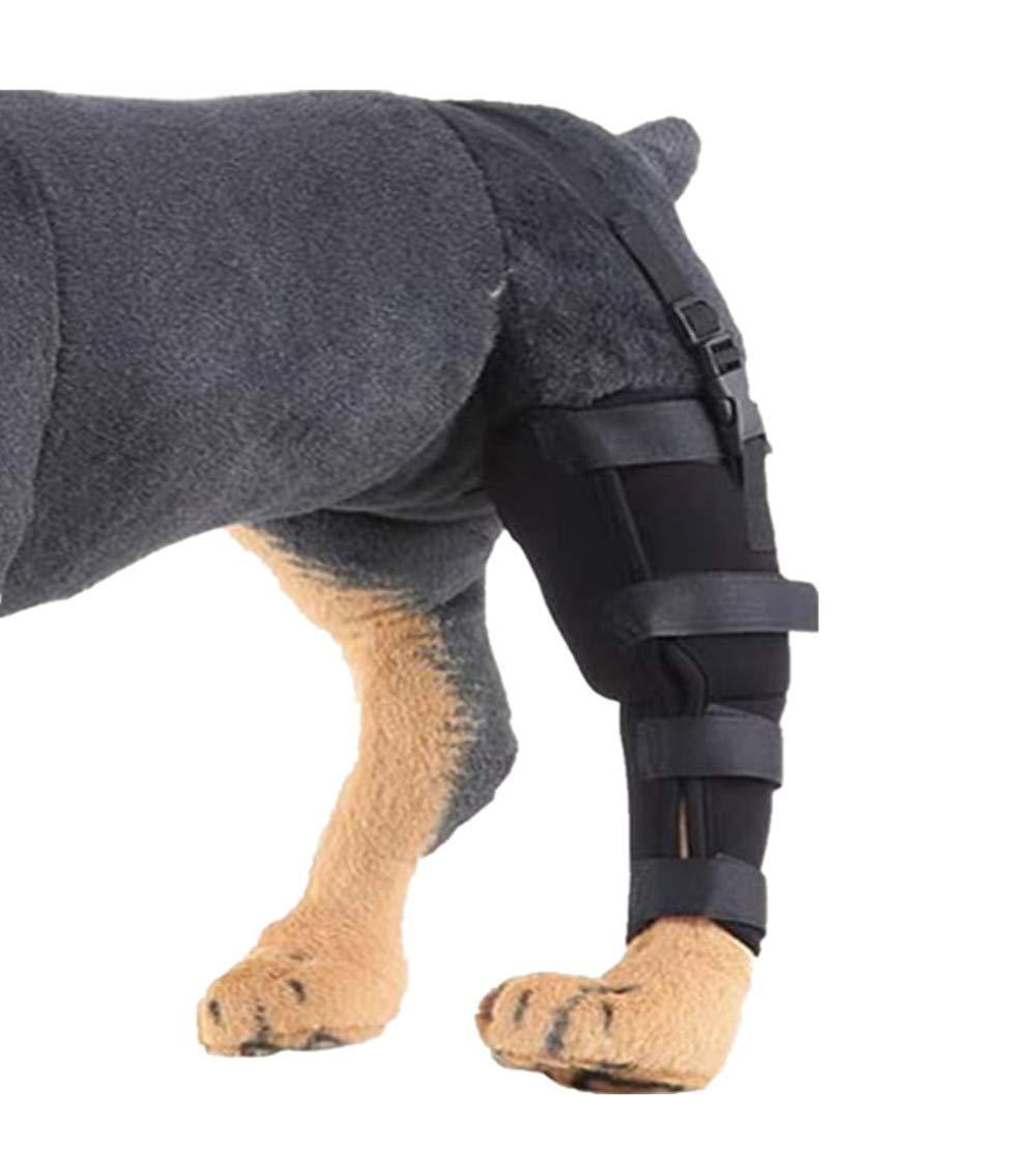 WXFEXIA Dog Rear Left Hind Leg Joint Brace - Canine Wrap Protects Wounds Heal Support Due to Arthritis to Prevent Injury and Sprains or Walking (1 Pcs, L) - PawsPlanet Australia