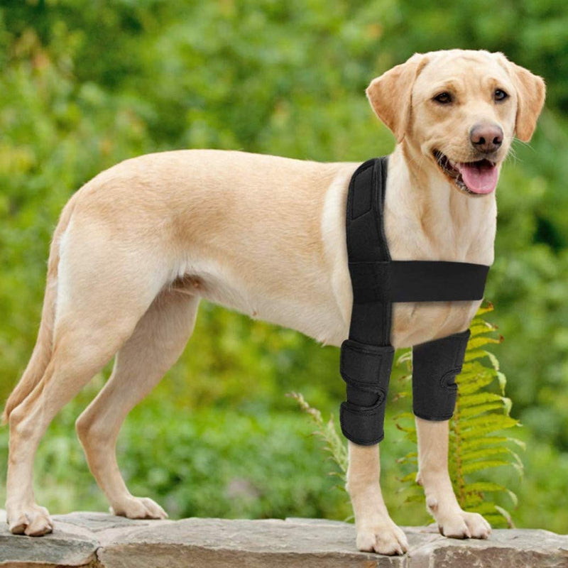 WXFEXIA Dog Front Leg Hock Braces Elbow Protector - Canine Wrap Protects Wounds Heal and Sprains Support Due to Arthritis to Prevents Injuries and Sprains or Walking (L) L - PawsPlanet Australia