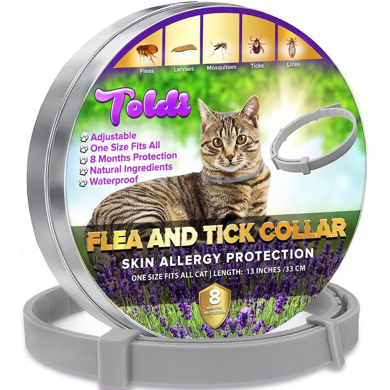 Flea Treatment Cat, Flea-Collar for Cats Adjustable Small-Medium-Large, 8 Months Tick & Lice Repellent for Kitten, Waterproof Pet Spot On Flea Treatment Protection Allergy Free- Toldi (CAT GREY) GREY 1 PACK - PawsPlanet Australia