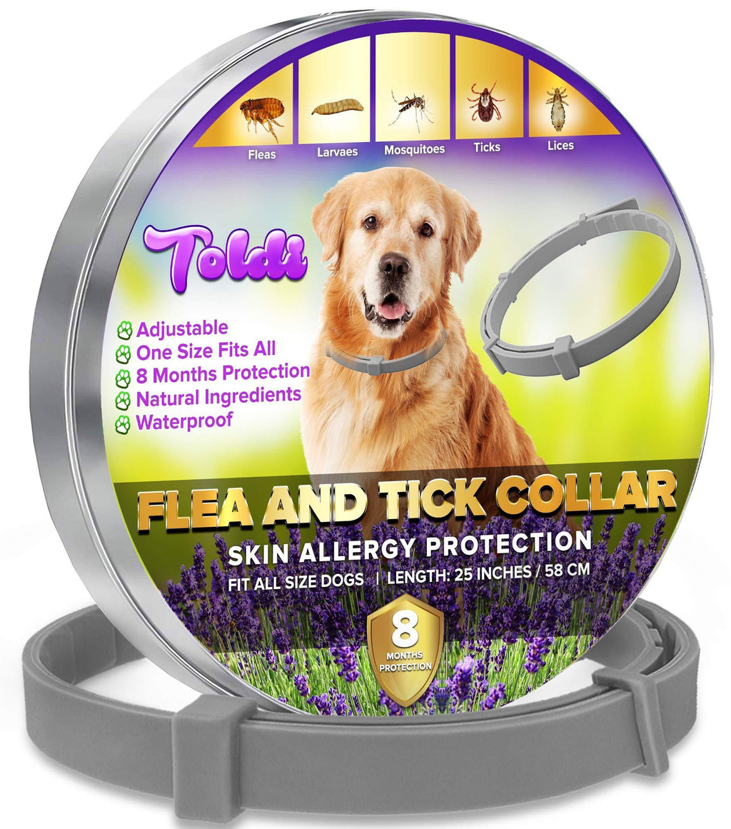 Toldi Flea-Treatment-for-Dogs, Adjustable Flea-Collar-Dogs, 8 Months Protection Flea-and-Tick-Treatment-for-Dogs Puppy Collar Small-Medium-Large Tick & Lice Repellent, Waterproof Spot On GREY 1 PACK - PawsPlanet Australia