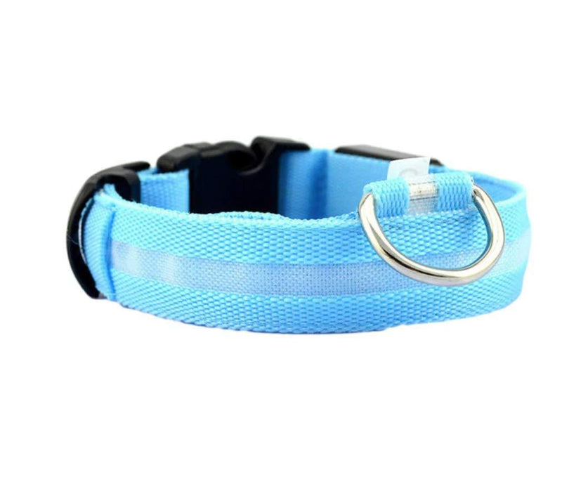 New G Line Flashing Glow In The Dark Dog Leash Waterproof Luminous Fluorescent Collars for Safety - PawsPlanet Australia