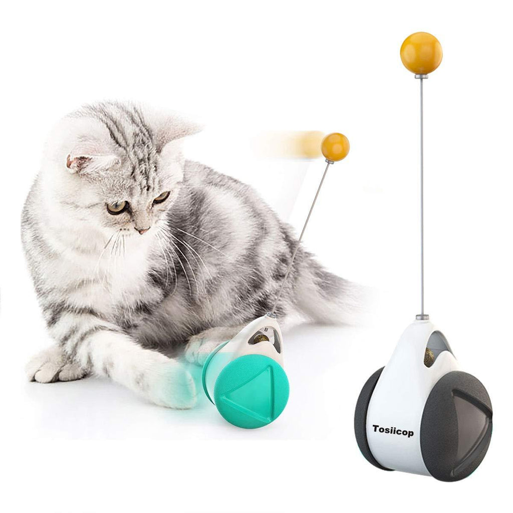 Interactive Cat Toys with Catnip Ball 2 Pack Pet balance swing car Balanced Cat Toy for Indoor Cats Rotating Rolling Balls for Cat/Kitten Pet Entertainment Hunting Exercise - PawsPlanet Australia