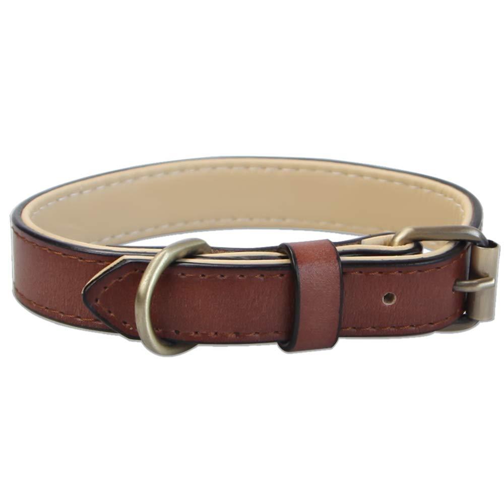 Adjustable Genuine Soft Leather Dog Collar of Padded Best for Small Medium Large Breed Dogs(M, Brown) M - PawsPlanet Australia