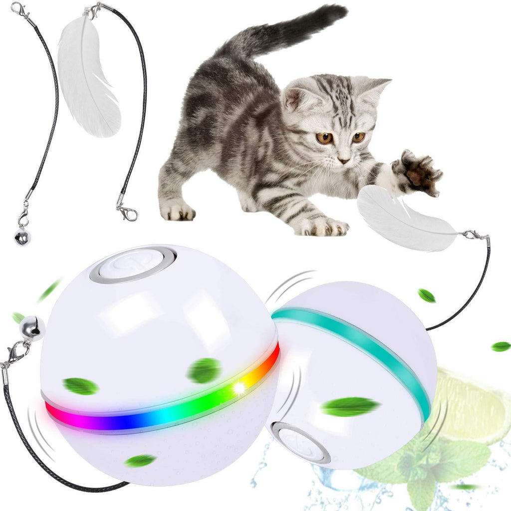 G.C Interactive Cat Toy Ball Kitten Toys for Indoor Cats Catnip Toys Wicked Ball Ring Bell Feather Pet Small Dog Puppy Toy Automatic Self-Rotating & USB Rechargeable with Colorful LED Light - PawsPlanet Australia