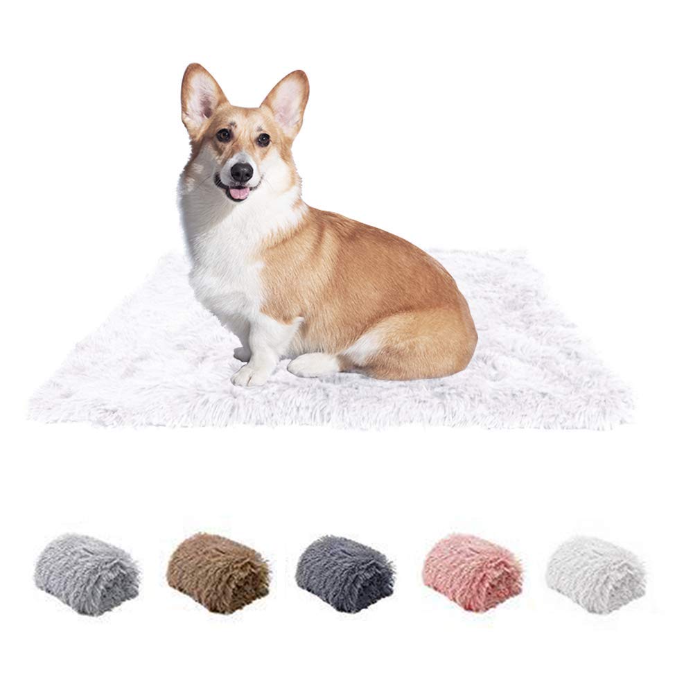 L7HWDP Plush Pet Blanket Puppy Washable Comfort Soft Fluffy Pet Mat for Small Medium Large Dogs and Cats (S:22x14 inch, White) S:22x14 inch - PawsPlanet Australia