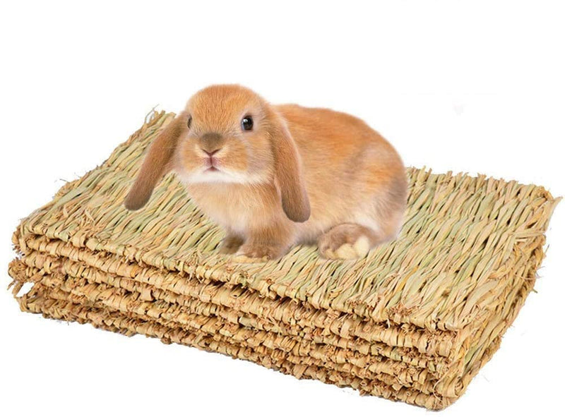 CAMITER 4 Pack Woven Bed Mat for Rabbits, Grass Mat Bedding Nest for Rabbit Bunny Chew Toys Woven Bed Mat for Guinea Pig Parrot Chinchilla Squirrel Hamster Cat Dog and Small Animal - PawsPlanet Australia