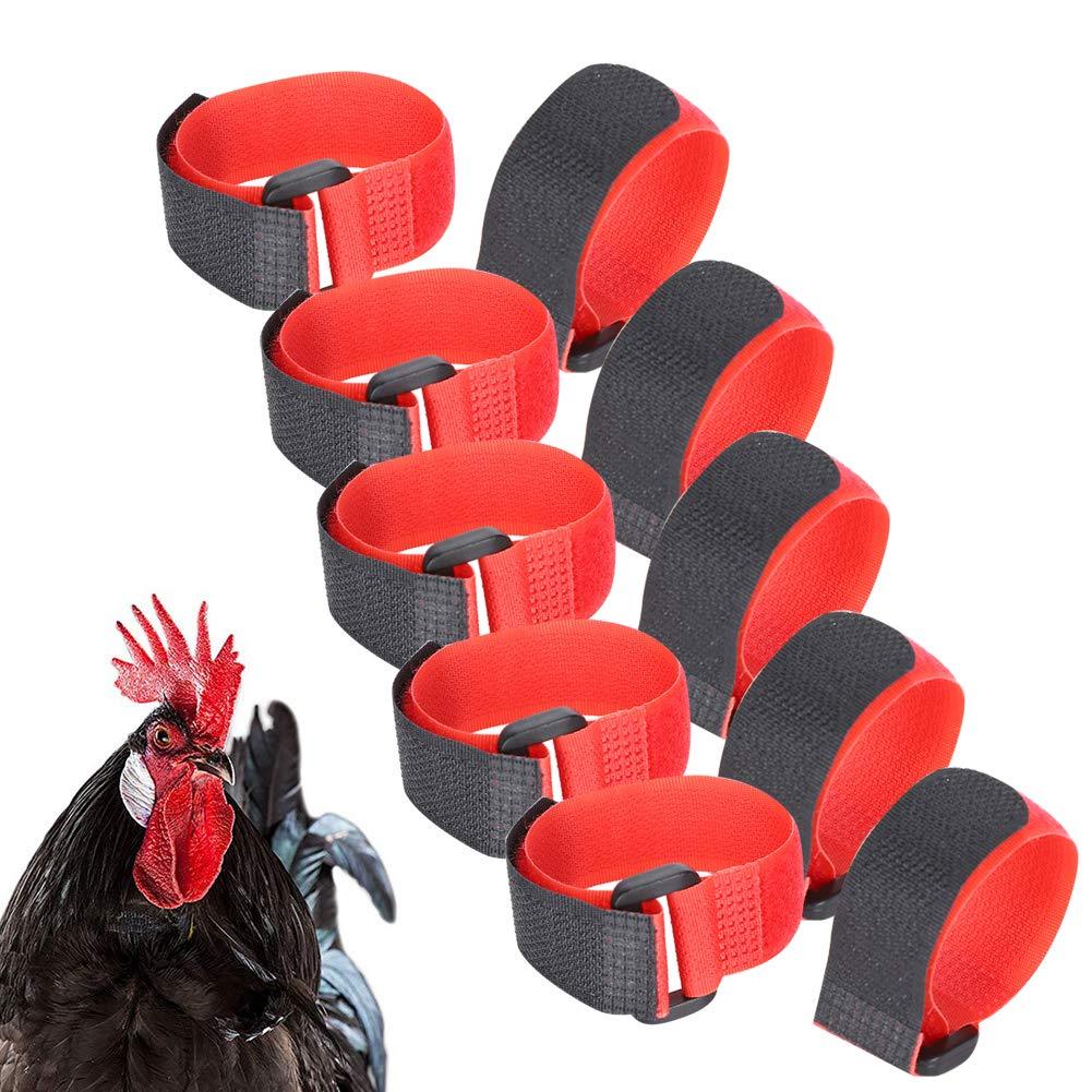 5Bag Anti-Hook Rooster Collar Nylon No Crow Rooster Collar Noise Free Neck Belt Pet Chicken Supply - PawsPlanet Australia