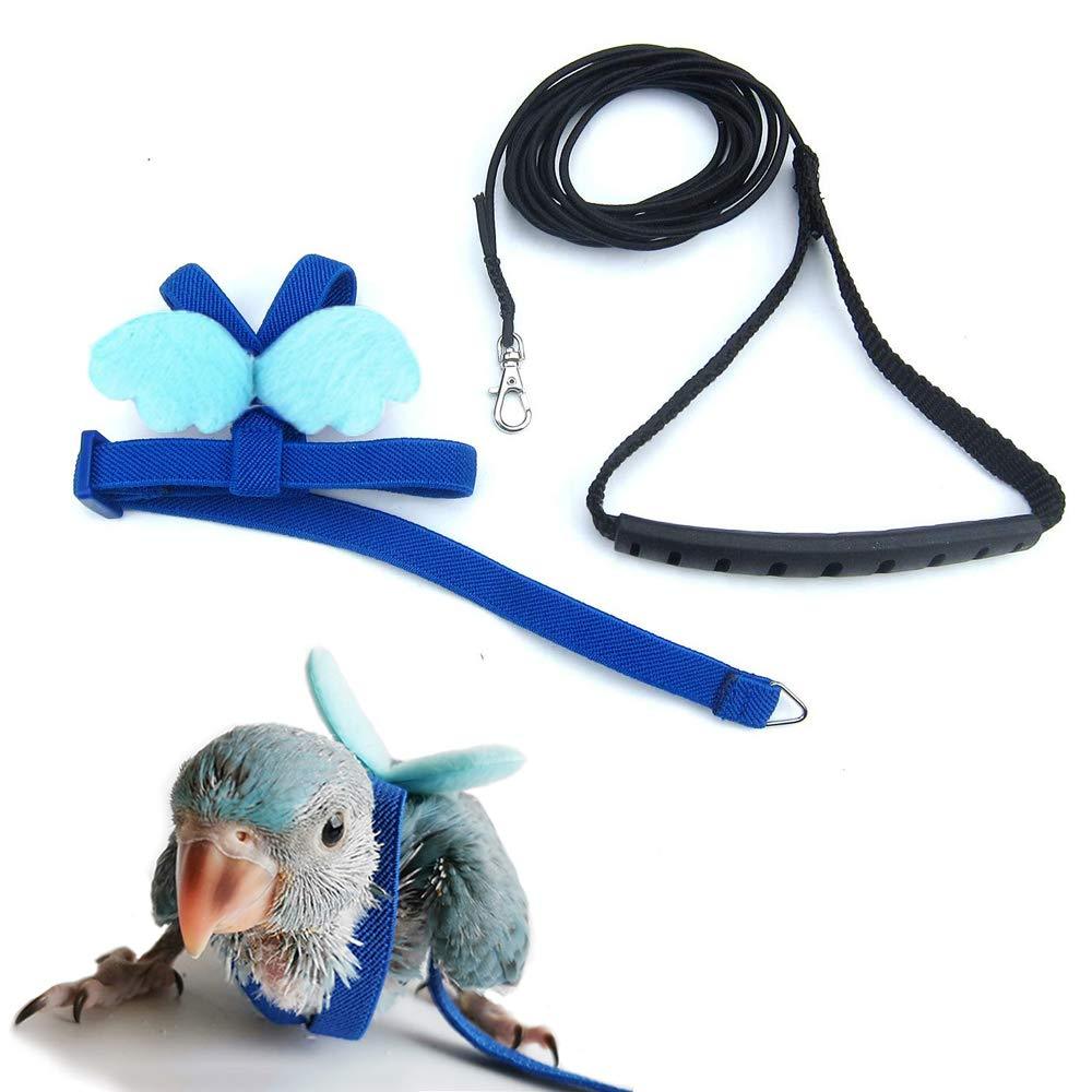 ASOCEA Bird Harness and Leash Parrot Parakeets Flying Rope Escape Proof Traction Lead for Cockatoo Macaws African Grey budgie Lovebird Training Walking - PawsPlanet Australia