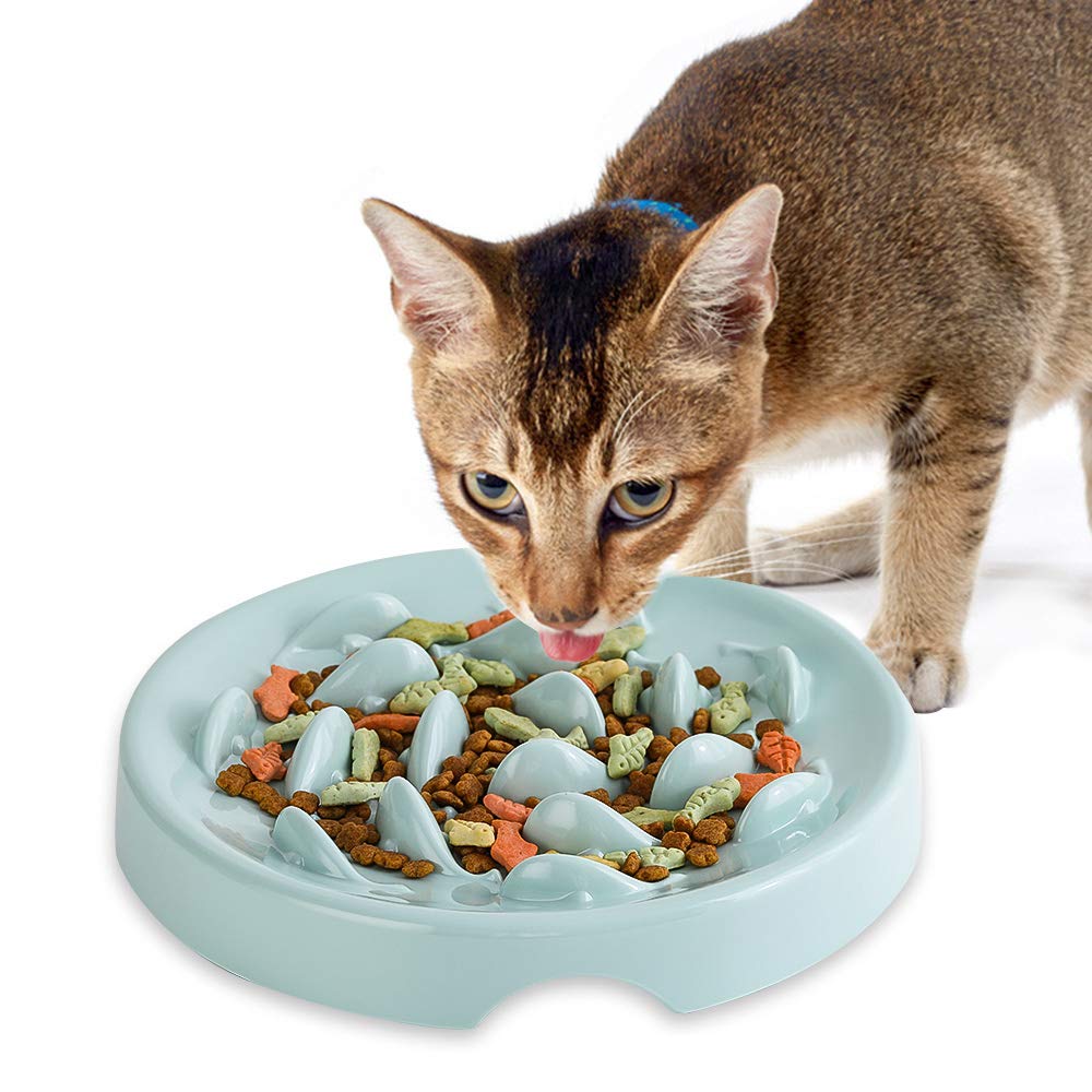 Slow Feeder Cat Bowl,Melamine Fun Interactive Feeder Bloat Stop Puzzle Cat Bowl Preventing Feeder Anti Gulping Healthy Eating Diet Pet Dog Slow Feeding Bowls Against Bloat, Indigestion and Obesity Green - PawsPlanet Australia