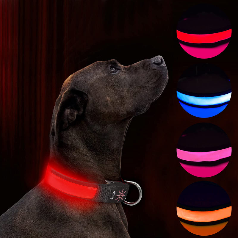 LED Dog Collar Light Up Dog Collar USB Rechargeable Waterproof,Night Dog Band with 3 Glowing Modes,Makes Your Dog Visible, Safe & Seen (red) (red, M) red - PawsPlanet Australia