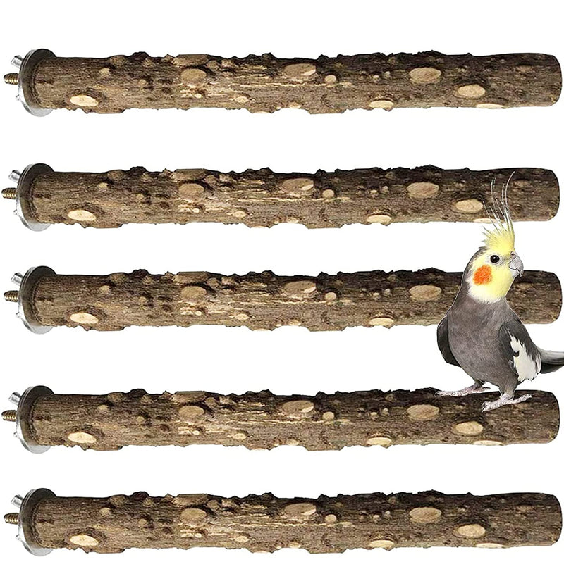 PINVNBY Parrot Perches Branch Wood Prickly Parakeet Stand Toy Paw Grinding Stick Cage Accessory For Small Medium Parrot Budgies Cockatiel 5 PCS - PawsPlanet Australia