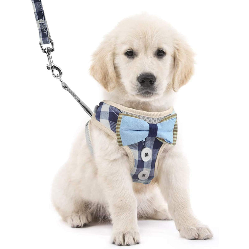 XQXC Dog harness set, Soft Small Dog Harness with Leash -for Kittens, puppies, small pets training，Pet vest traction rope (M, blue) - PawsPlanet Australia