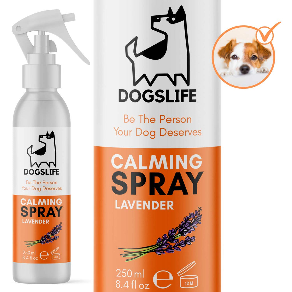 Dog Calming Spray | Safe Calming Spray For Dogs | Stress & Anxiety Relief | Lavender Scented Calming Aid For Dogs | UK Made Calm Spray | Works For Fireworks, Separation, Vet Visits + More! - PawsPlanet Australia