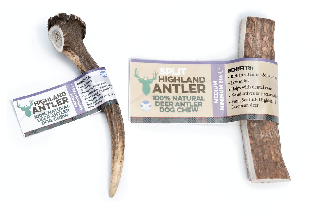 Antos Antler Dog Chew Medium and Split Antler Dog Chew Medium Deer Horn Dog Chew - PawsPlanet Australia