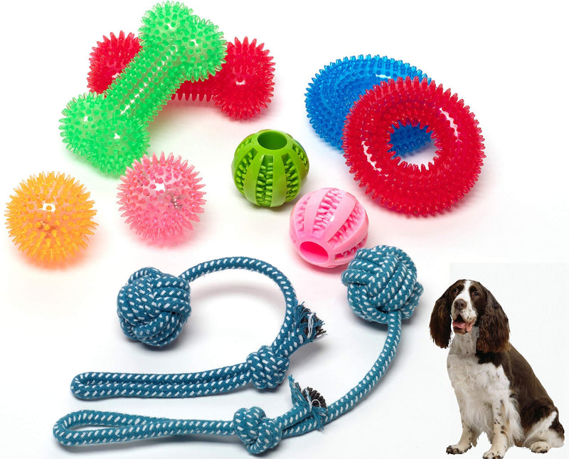 DSA Pets Dog Toy Set - 8 Pcs Squeaky Toys for Small and Medium Dogs + 2 Pcs Bonus Tug Ropes - Spikey Dog Balls - Dog Chew Toys - Non-Toxic TPR Rubber Small Medium Dog Fetch Toys - PawsPlanet Australia