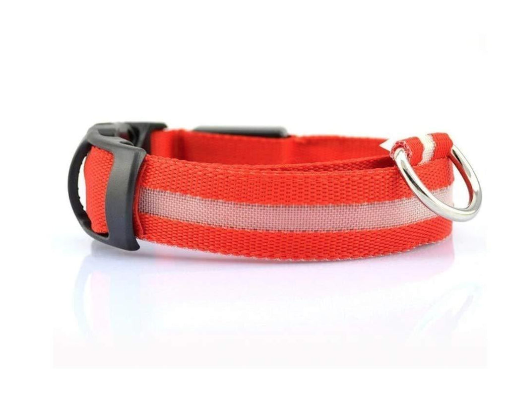 New G Line Flashing Glow In The Dark Dog Leash Waterproof Luminous Fluorescent Collars for Safety - PawsPlanet Australia