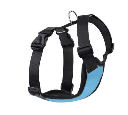 New G Line Blue Dog Harness Breathable Comfortable Pet Vest Adjustable Soft Padded Dog Power Strap, size L - PawsPlanet Australia