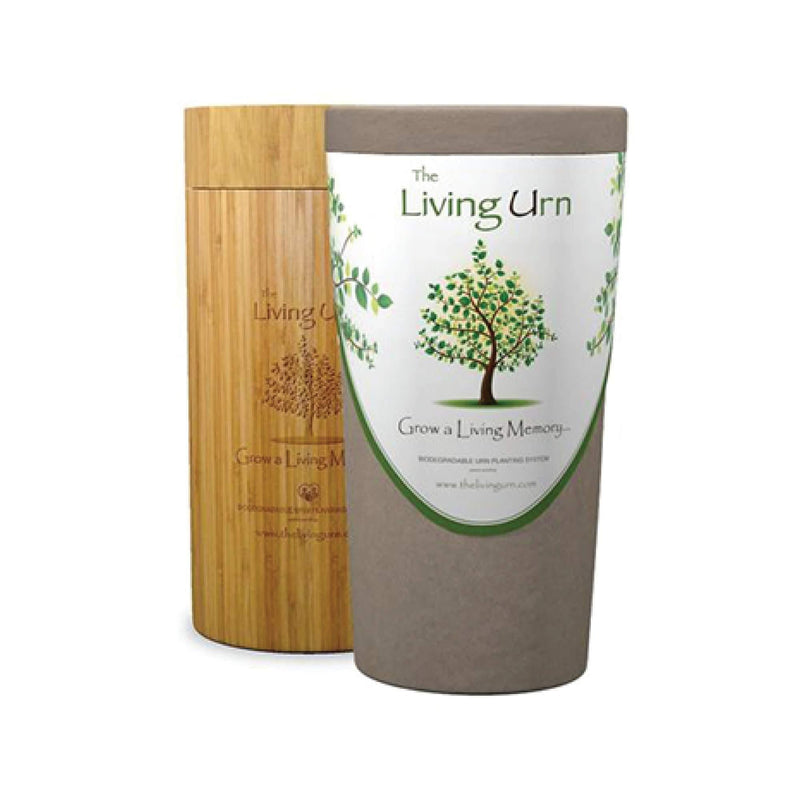 From Here to Eternity Pets Living Urn | Biodegradable, Artisanal Pet Urns with Norway Spruce Tree Seeds and Bamboo Memory Box | 37.6cm x 19.7cm 5L - PawsPlanet Australia